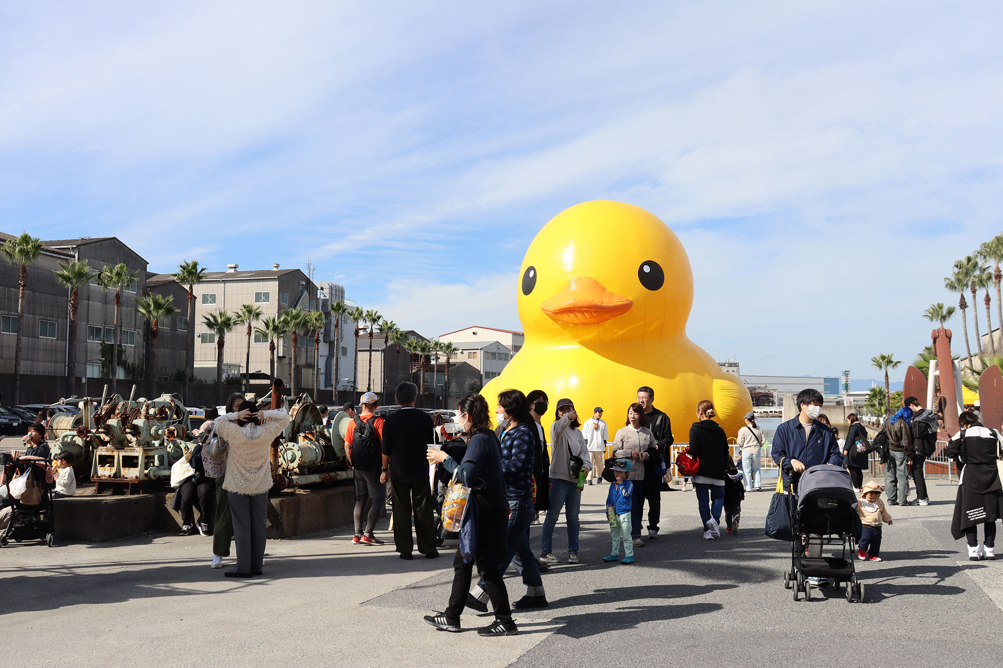 ラバーダック　おまとめ 楽天市場】ラバーダック（ホビー）の通販